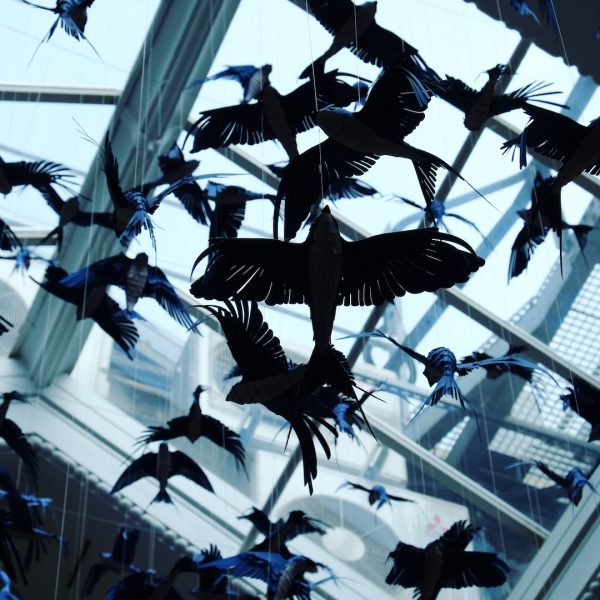 "Birds" von Mathilde Nivet